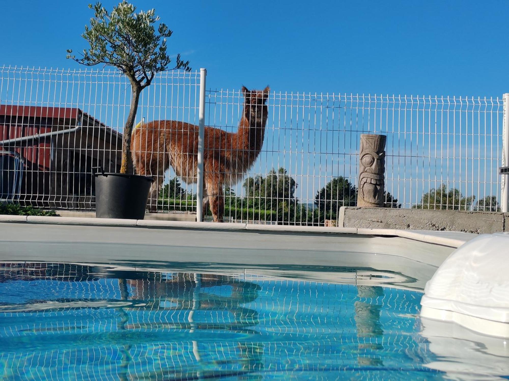 Tiny House Des Bougnats Villa Teilhede Luaran gambar